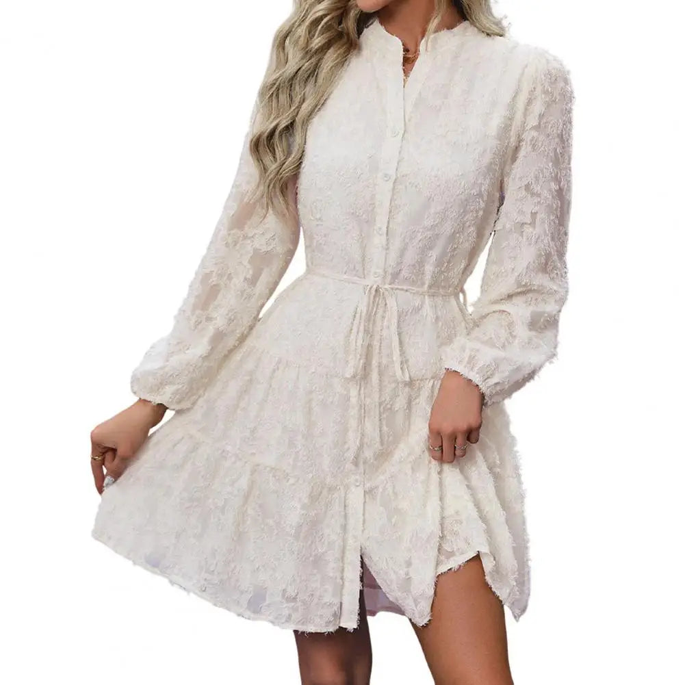 Formal Lace with Long Sleeves Slim Waist for Fall Spring A-line Dress