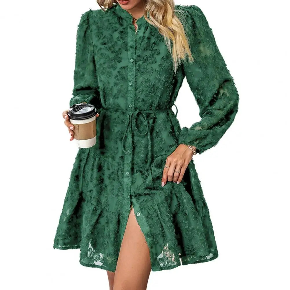 Formal Lace with Long Sleeves Slim Waist for Fall Spring A-line Dress