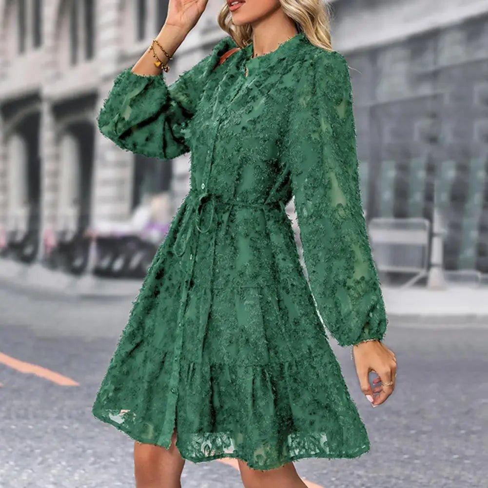 Formal Lace with Long Sleeves Slim Waist for Fall Spring A-line Dress