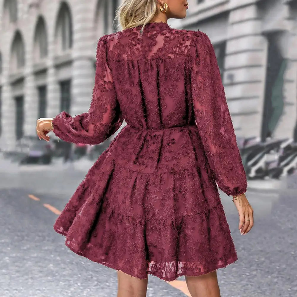 Formal Lace with Long Sleeves Slim Waist for Fall Spring A-line Dress