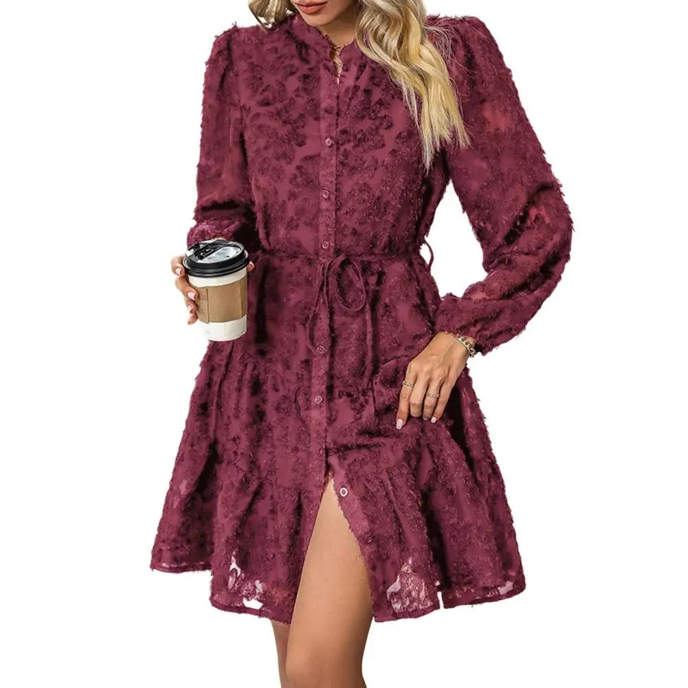 Formal Lace with Long Sleeves Slim Waist for Fall Spring A-line Dress