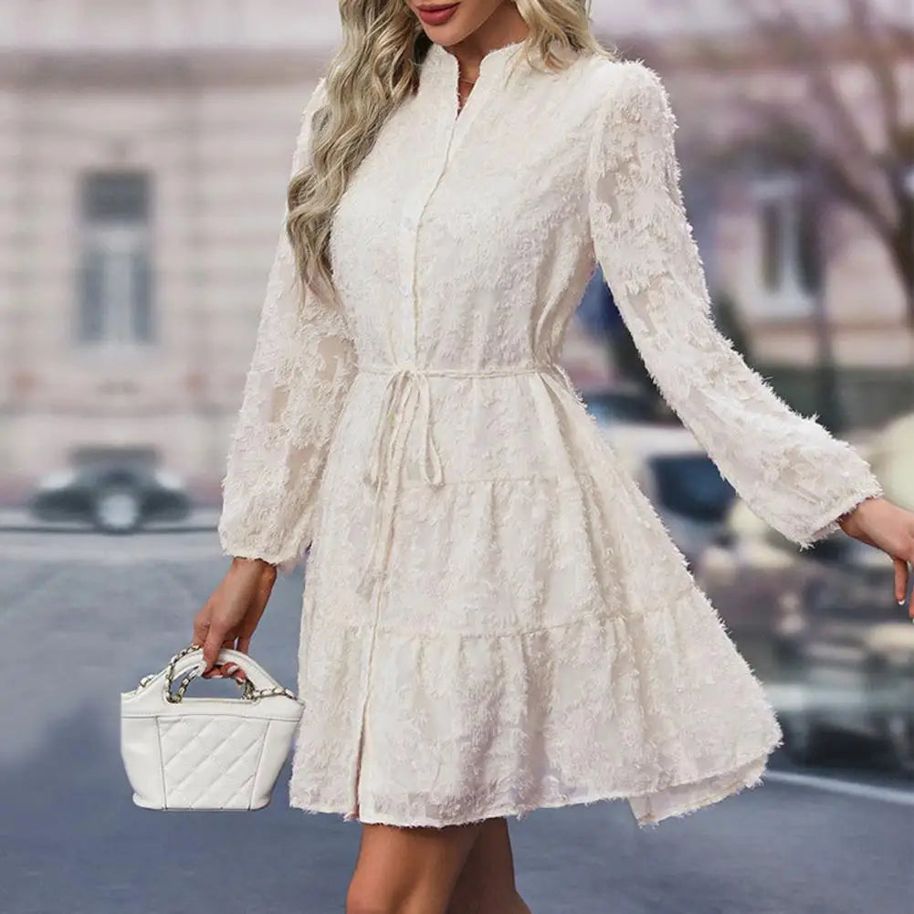 Formal Lace with Long Sleeves Slim Waist for Fall Spring A-line Dress