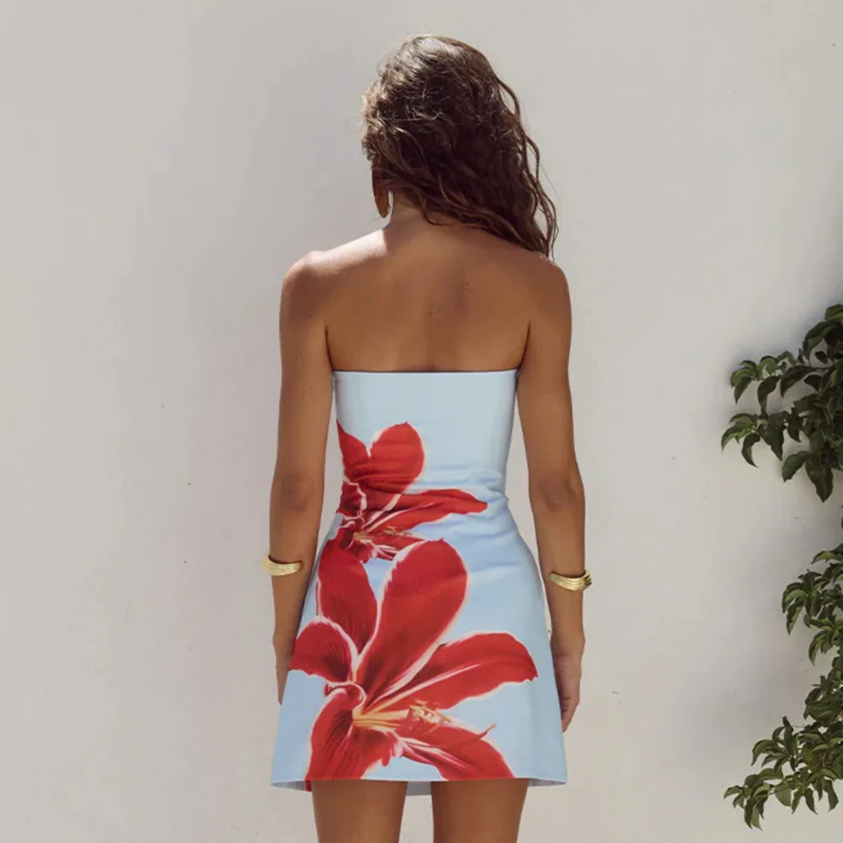 Strapless Backless Print Dress