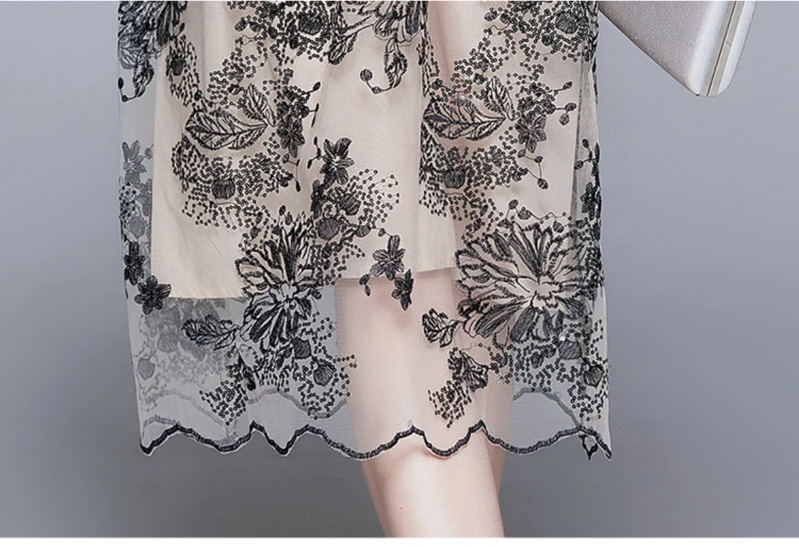 Luxury Embroidery Mesh Dress