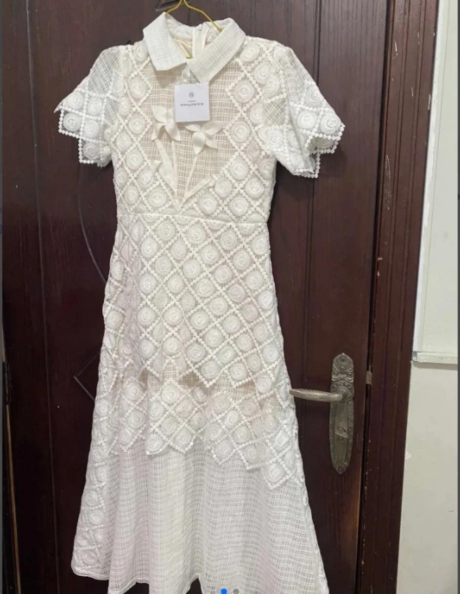 Spring 2024 Elegant Lace Embroidery Hollow 3d Flower Lace-up Turn-down Collar Short Sleeve High Waist A- line Dress