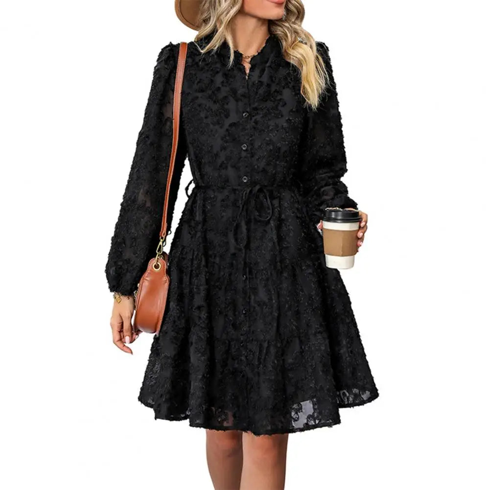 Formal Lace with Long Sleeves Slim Waist for Fall Spring A-line Dress