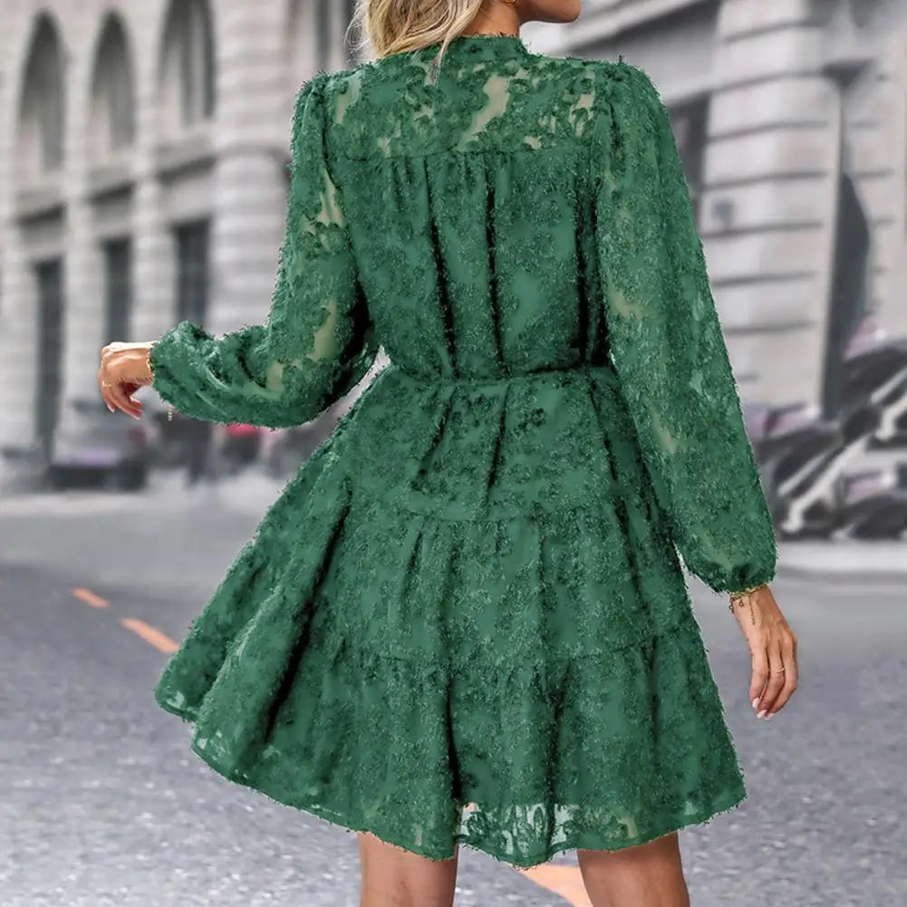 Formal Lace with Long Sleeves Slim Waist for Fall Spring A-line Dress